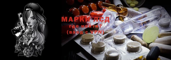 спайс Магас