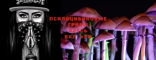 СК Магадан