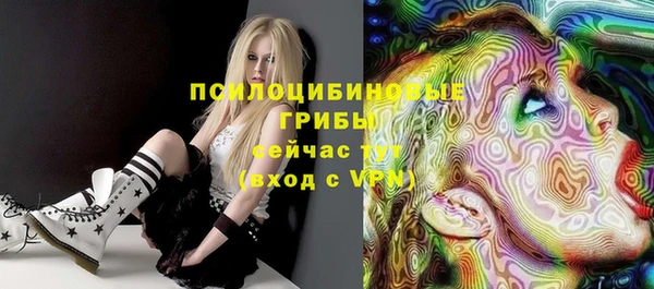 спайс Магас