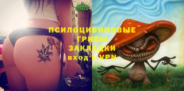 мдпв Лихославль