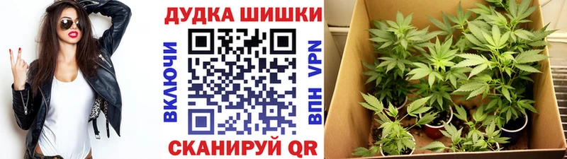 mega вход  купить наркотики сайты  Ельня  Конопля VHQ 